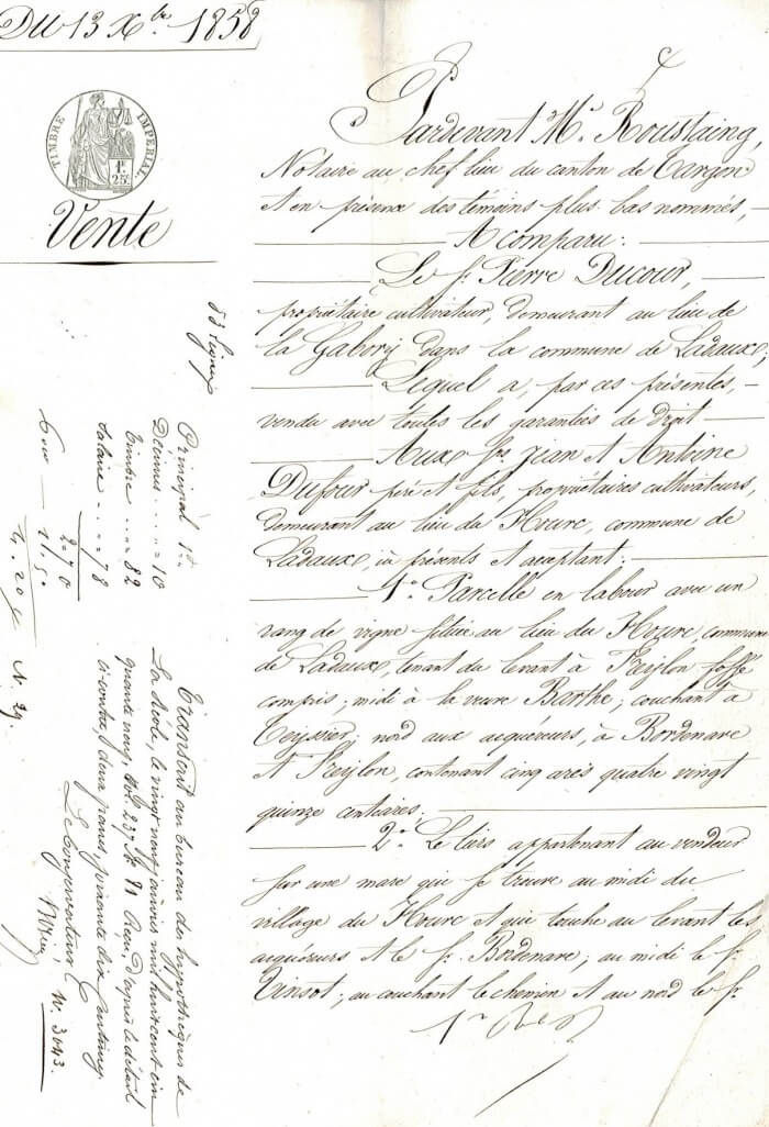 Famille Ducourt - Ducourt