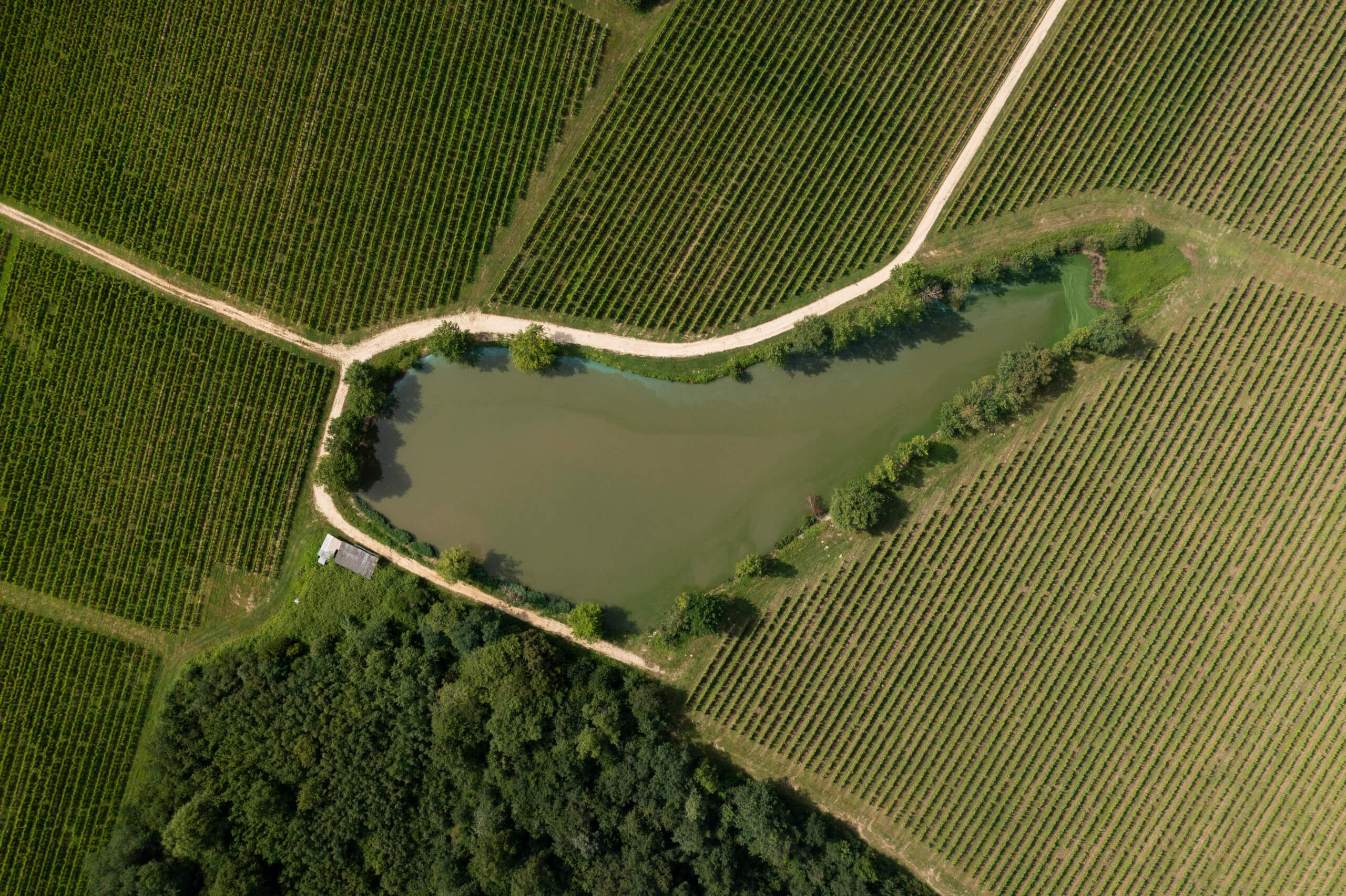 Vue aérienne d'un lac au milieu des vignes du château Briot