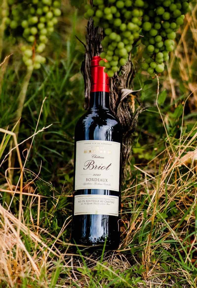 Château Briot - Ducourt