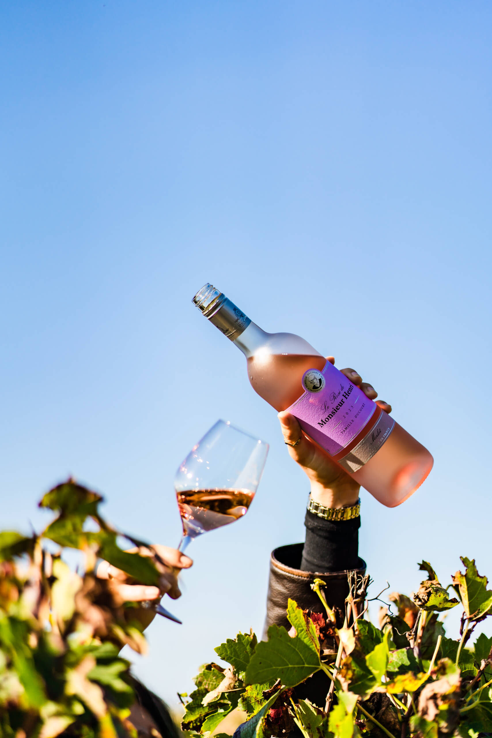 Famille Ducourt - Ducourt