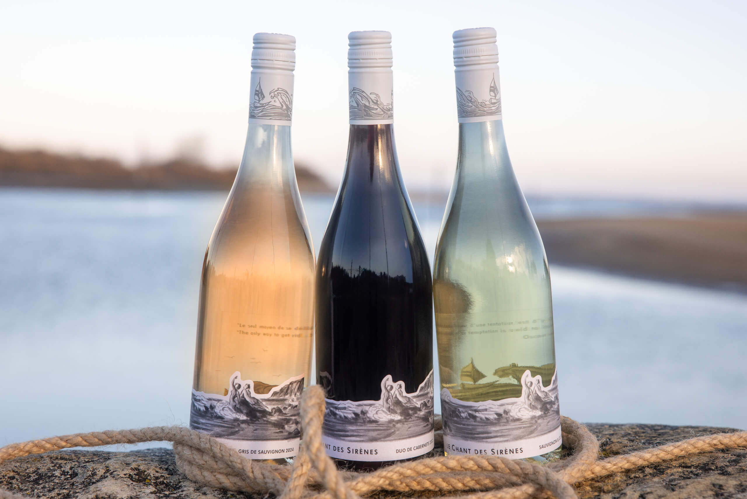 Famille Ducourt - Ducourt