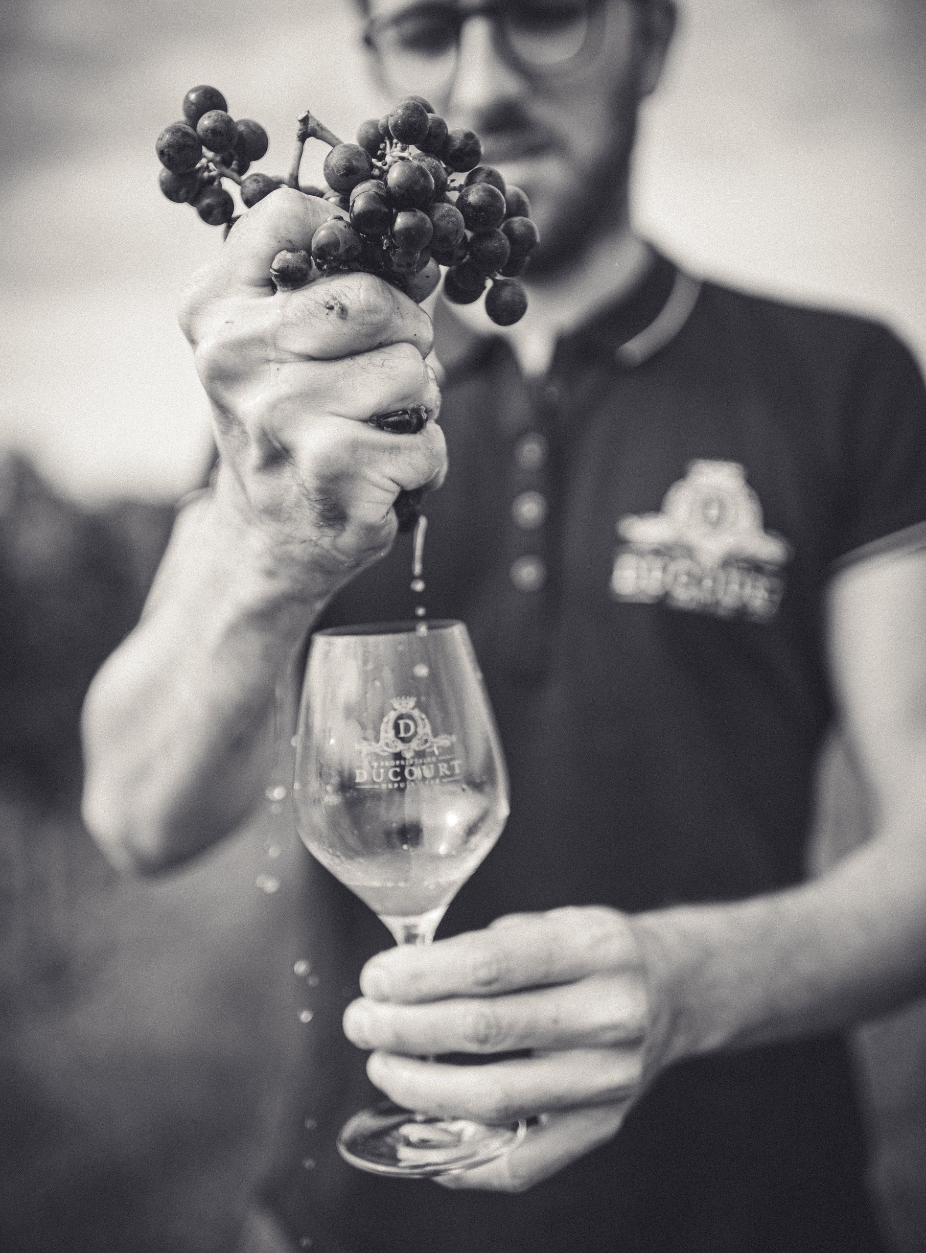 Château de Beauregard-Ducourt - Ducourt