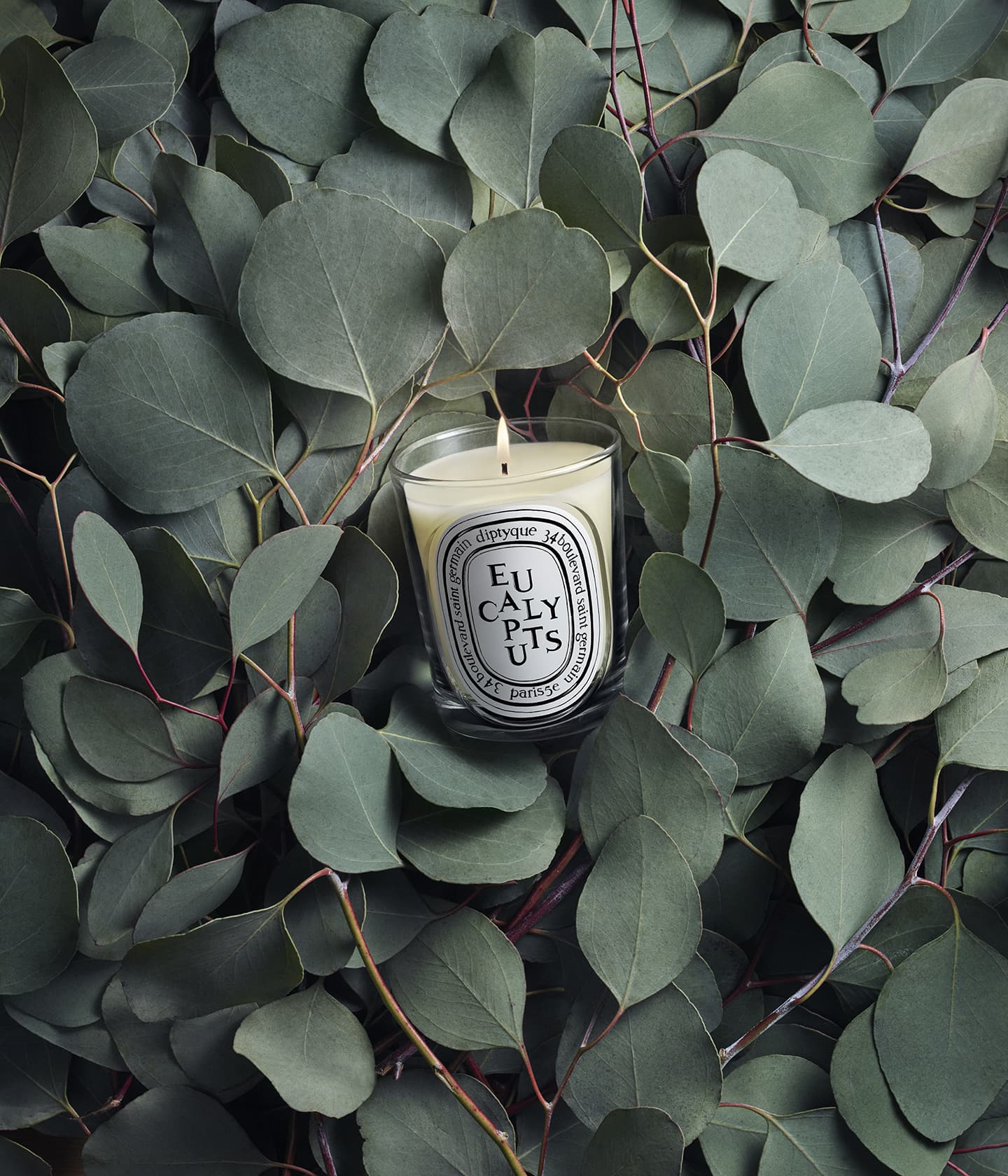 Duftkerze Eucalyptus – Bild 3