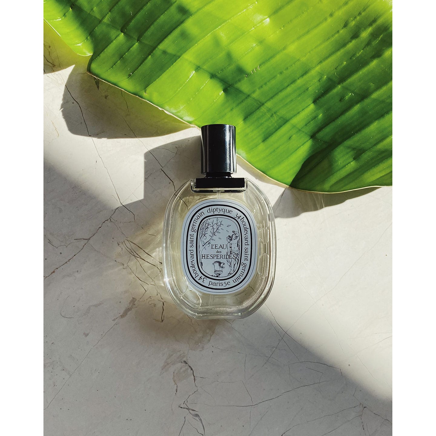 Diptyque Eau des Hespérides Eau de Toilette, 100ml — Duft und Kultur