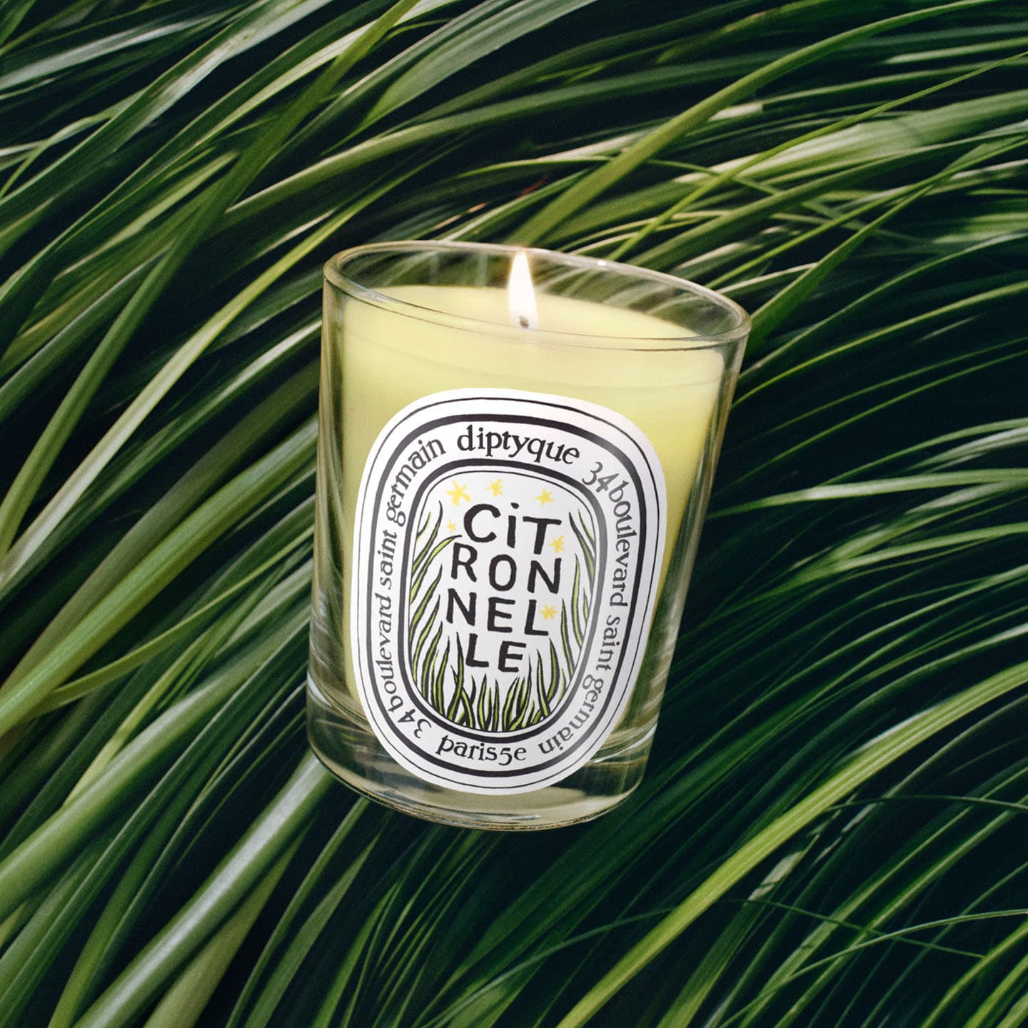Duftkerze Citronnelle Limited Edition – Bild 3