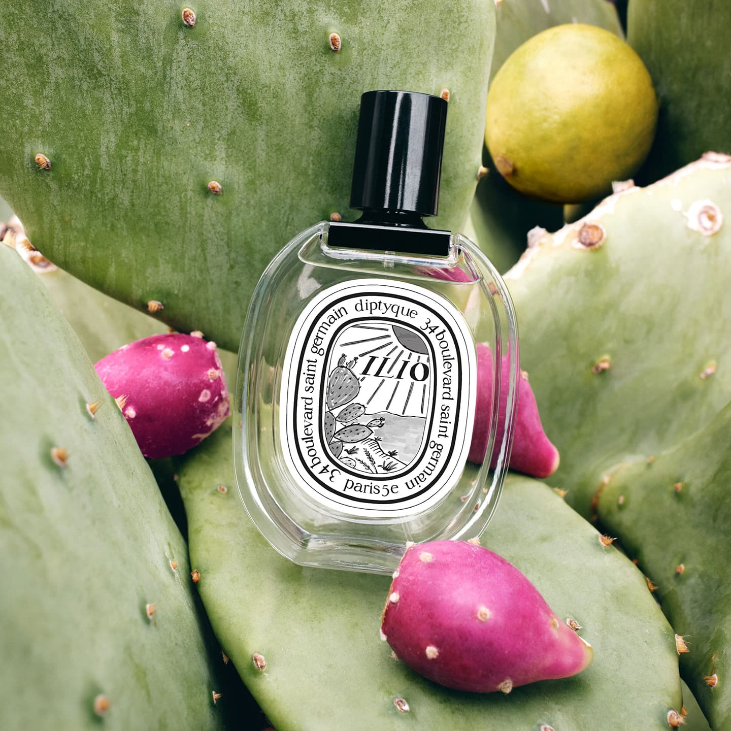 Eau de Toilette Ilio – Bild 3
