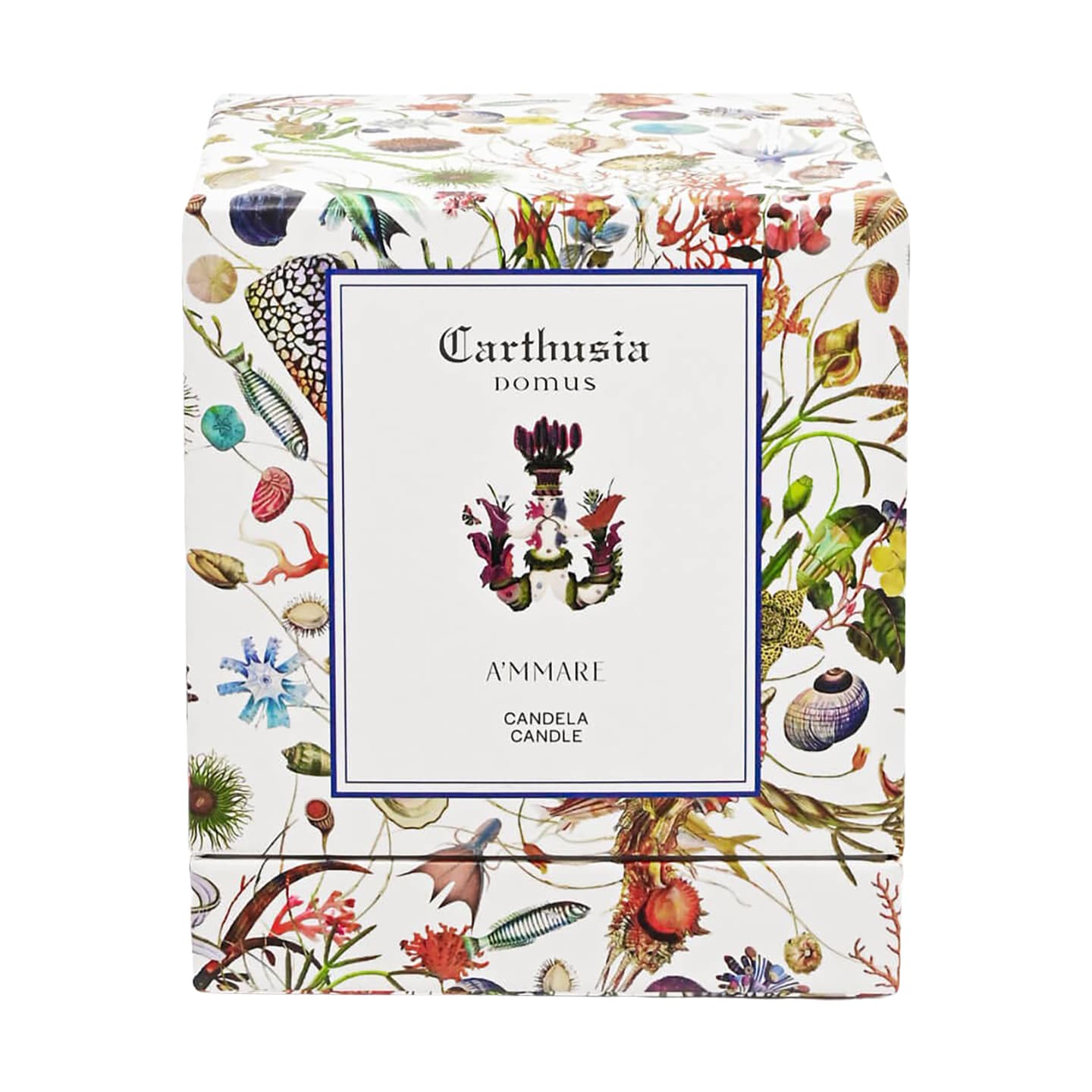 Duftkerze A'mmare – Bild 3