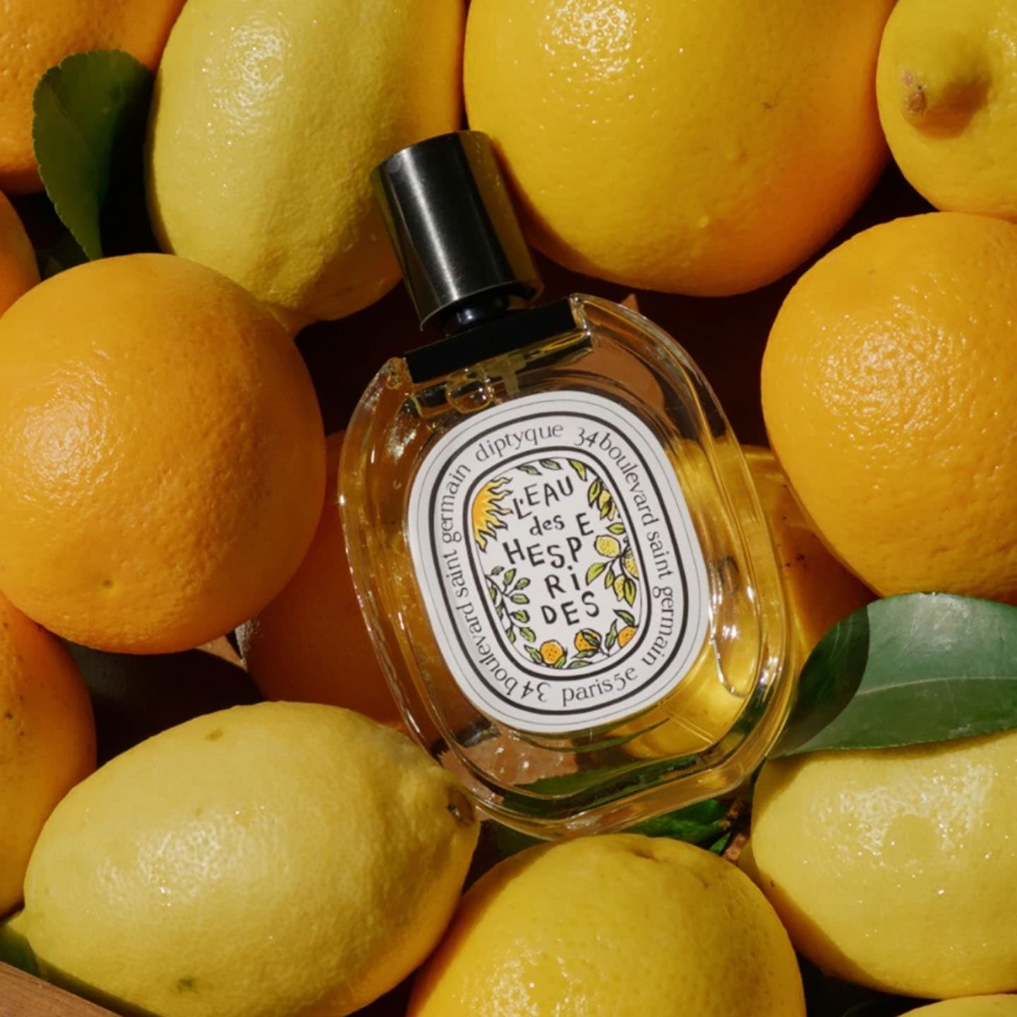 Eau de Toilette Eau des Hespérides Limited Edition – Bild 3