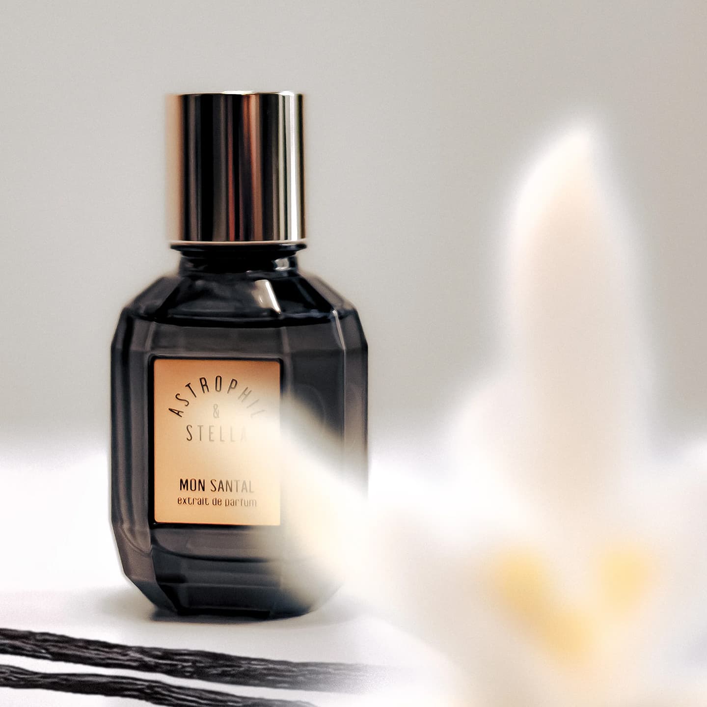 Extrait De Parfum Mon Santal – Bild 2