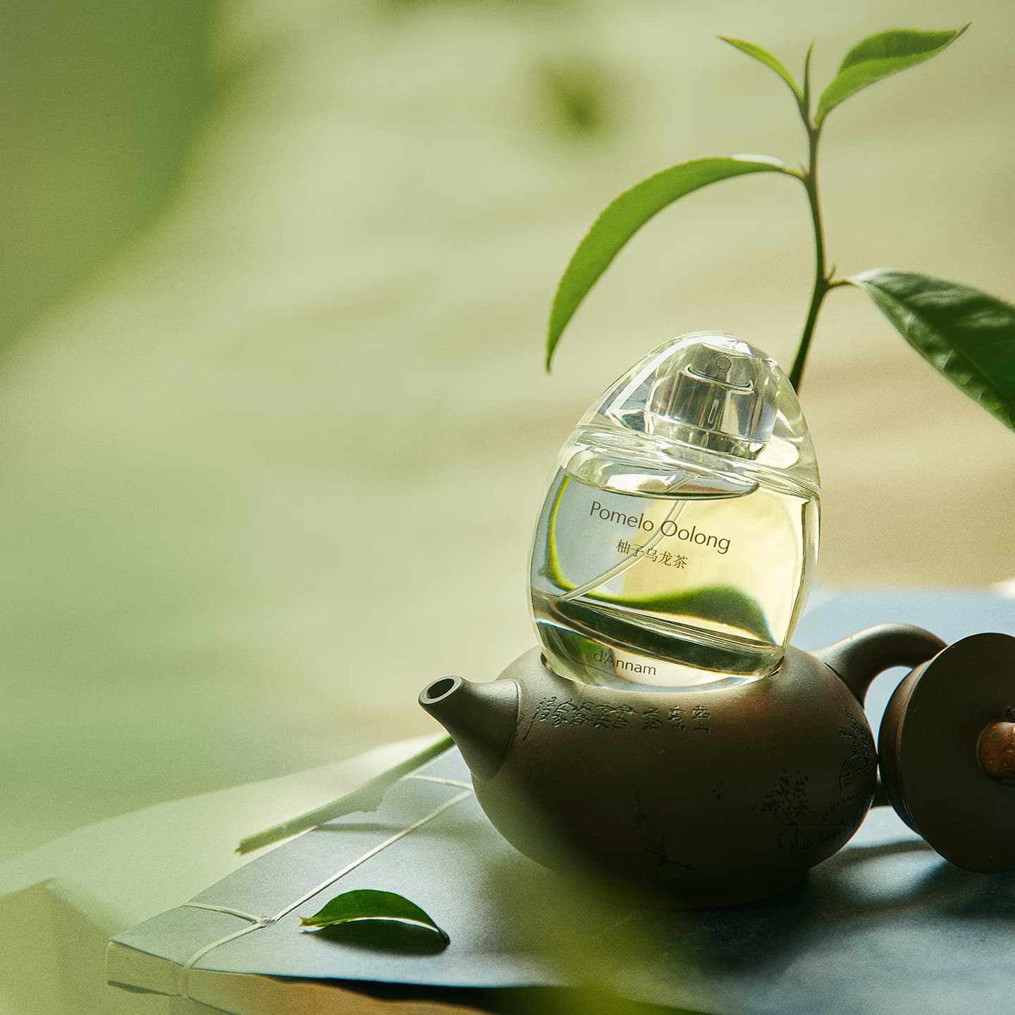 Eau de Parfum Oolong Tea – Bild 3