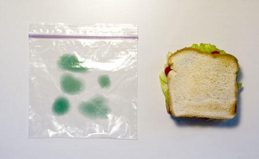 Anti-Theft Lunch Bags are regular sandwich bags that have green splotches printed on both sides. After your sandwich is placed inside, no one will want to touch it.