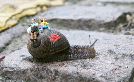 Inner city snail, a slow-moving street art project by Slinkachu