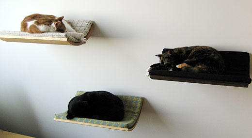 A sweet and pleasant looking bed for your cat (or small dog)