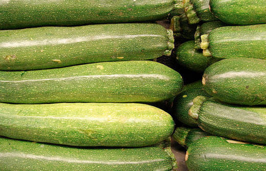 Zucchinis are known to you and me as a vegetable (Photo by Forest & Kim Starr)