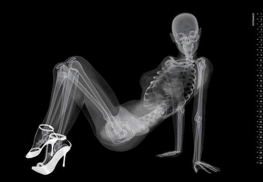 This piece of work for EIZO has got to be the most X-ray-ted pinup calendar I've ever seen