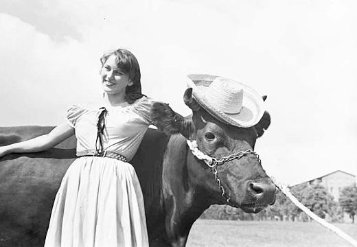 Beautifully happy picture of a (presumably) Danish girl with a cow when time stood still and didn't moo-ve