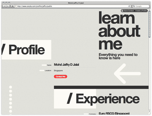 My Zerply public profile is far, far more slick than my LinkedIn one ever was
