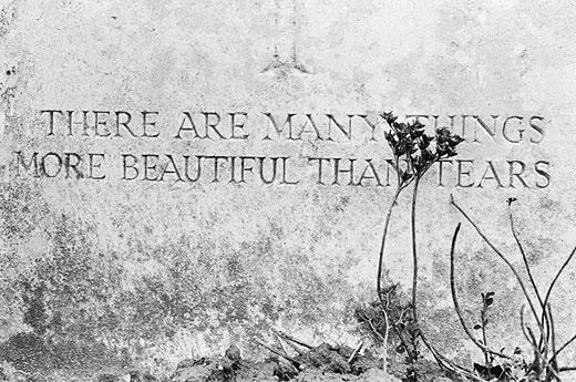 Stark pictures and thoughtful words by Johnny Stiletto