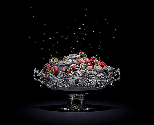 Klaus Pichler's quite beautiful gallery of rotten food from around the globe