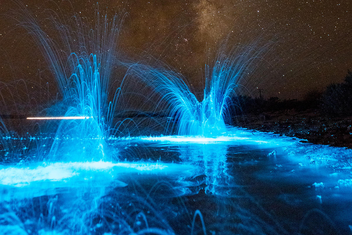 A bloom of sea sparkle (noctiluca scintillans) in Southern Tasmania