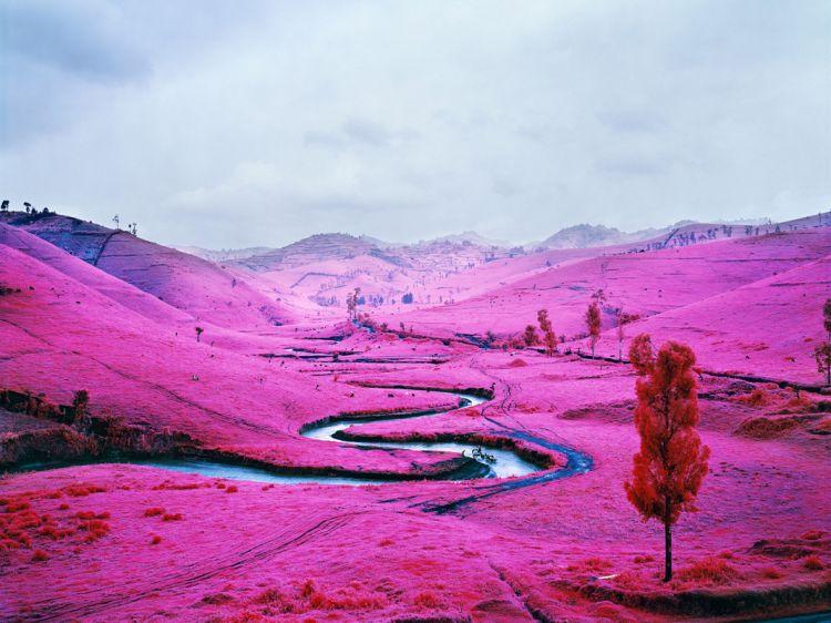 Stunning pictures by Richard Mosse shot on Kodak Aerochrome, a discontinued reconnaissance infrared film