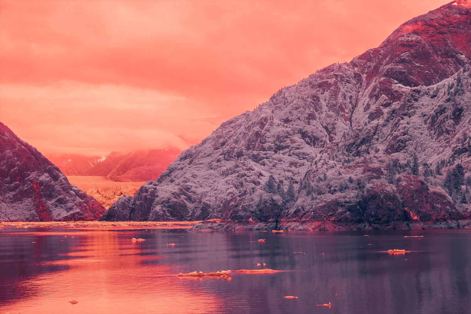 InfraMunk vs Tracy Arm Fjord