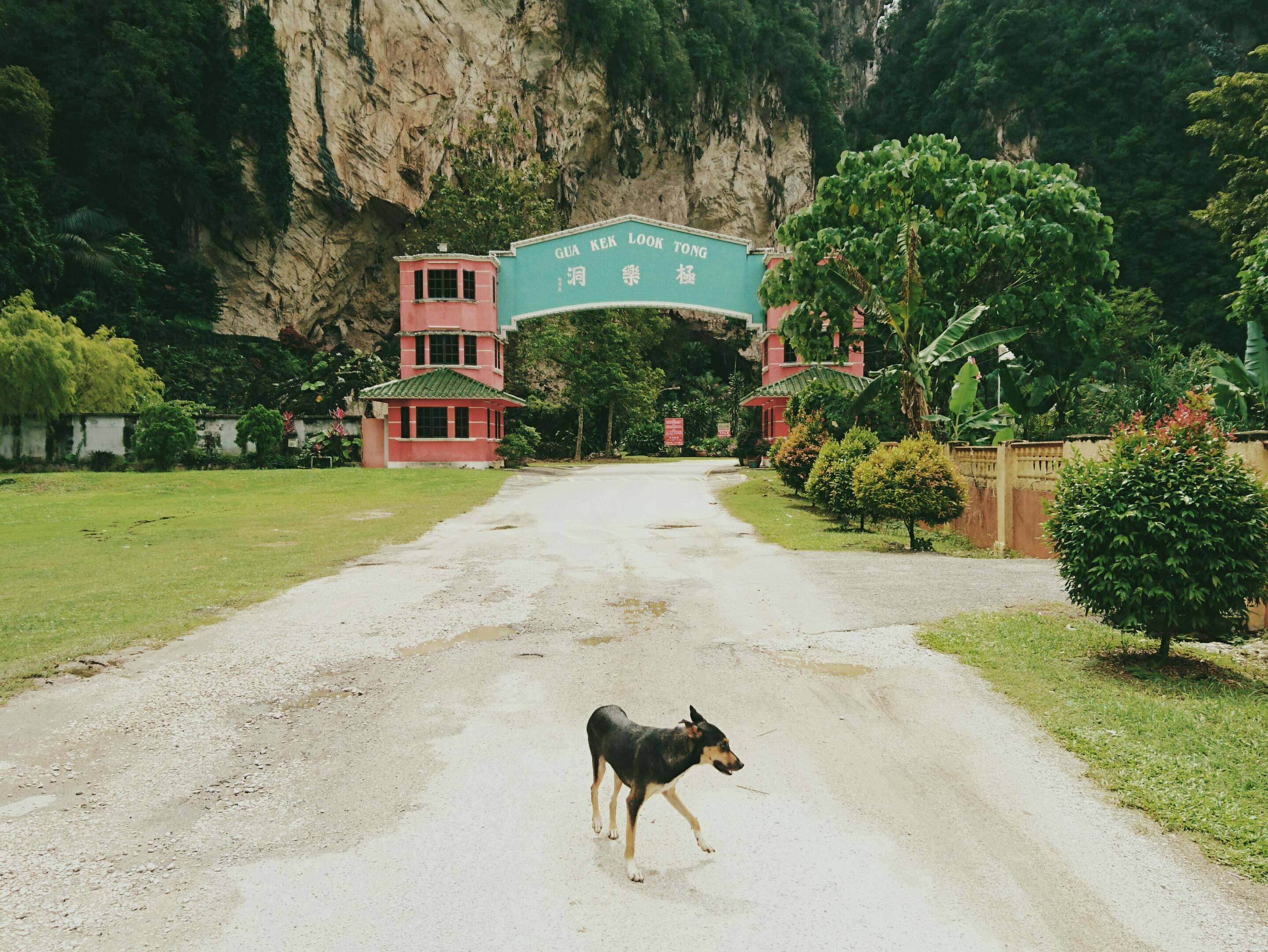 The entrance to the Kek Lok Tong Cave Temple