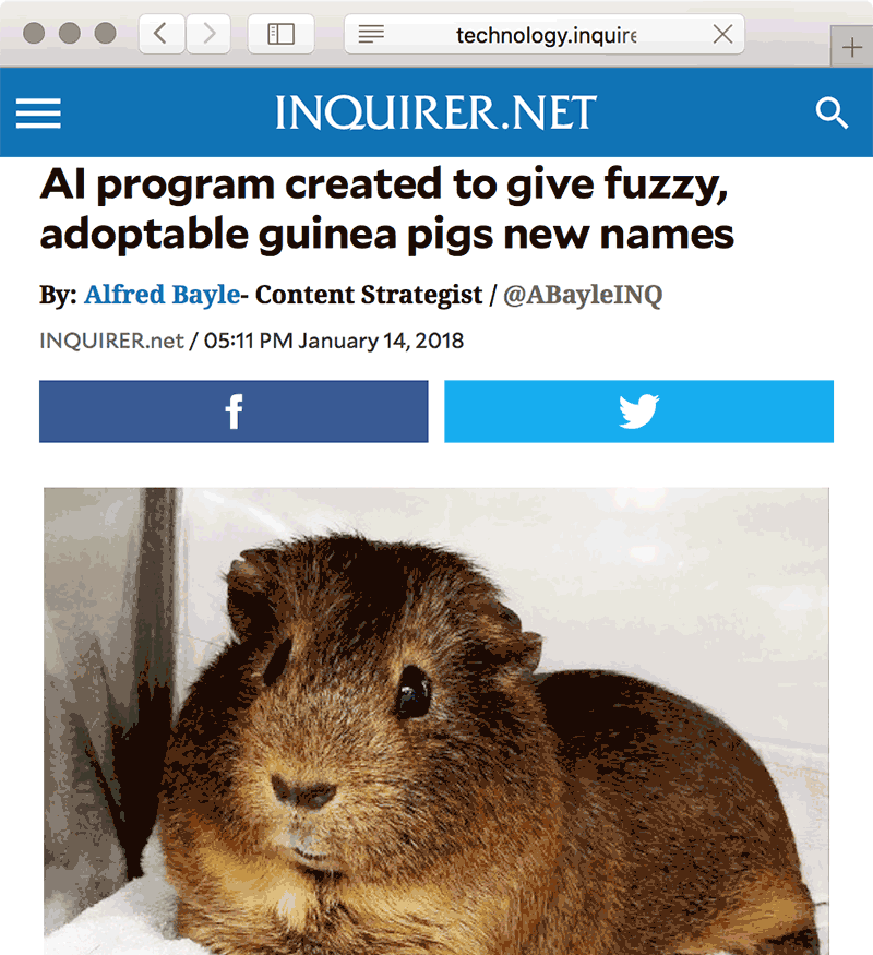 'AI program created to give fuzzy, adoptable guinea pigs new names'