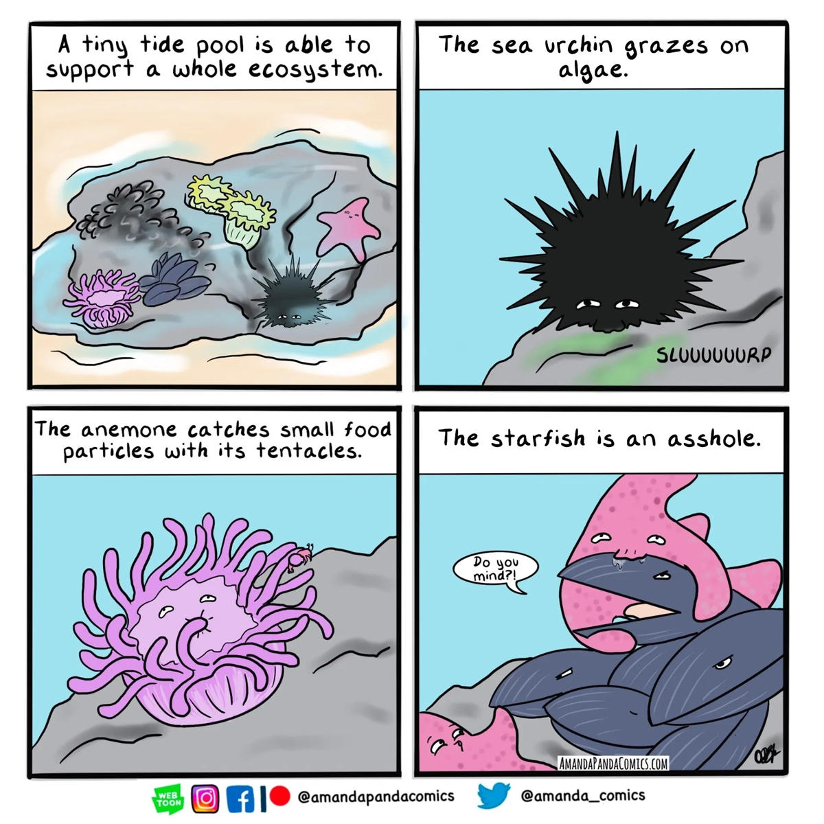 Starfish