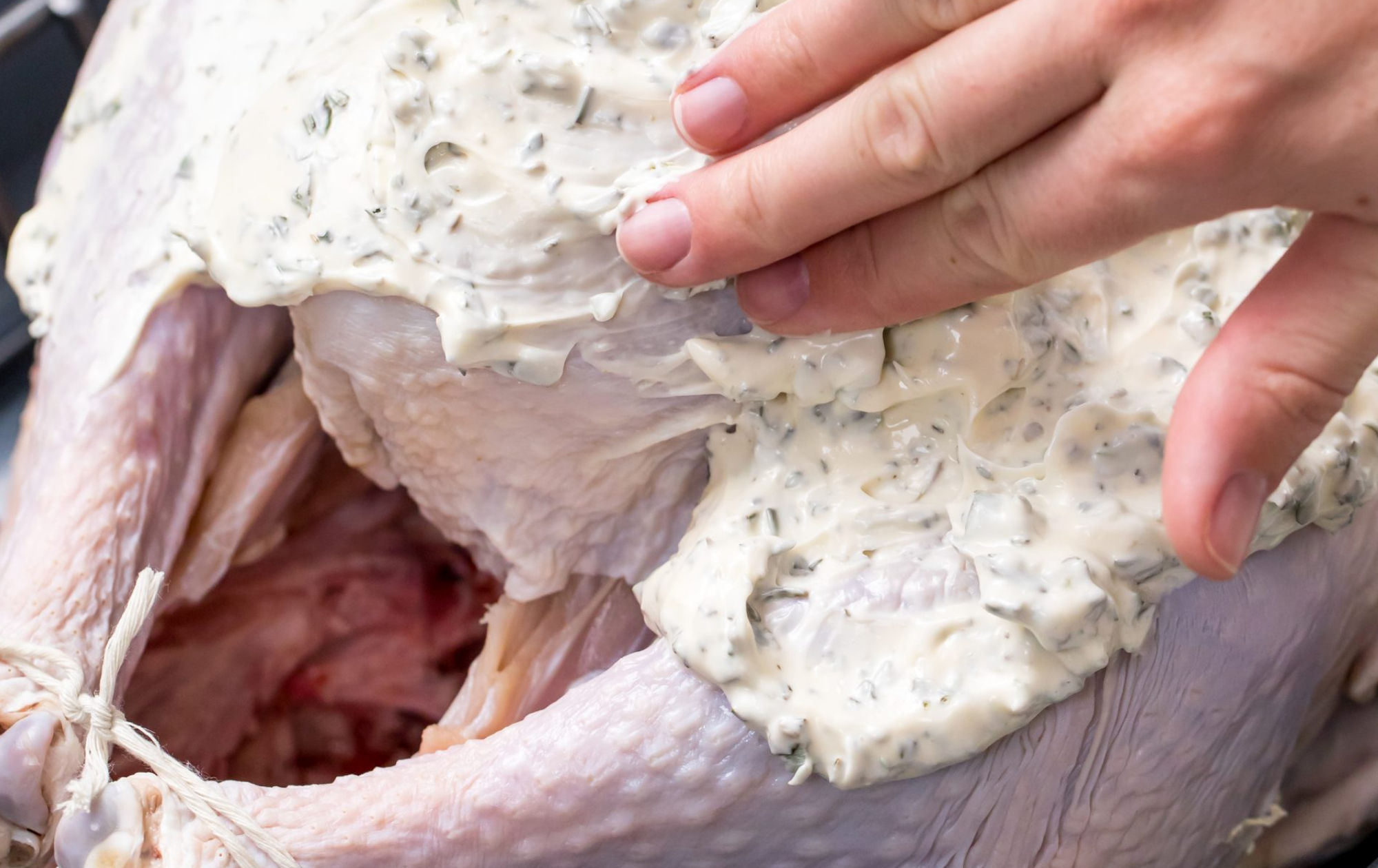 Tender and Juicy Mayonnaise-based Roasted Turkey