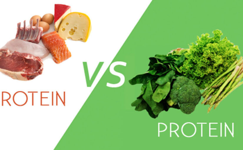 Animal vs Plant Protein