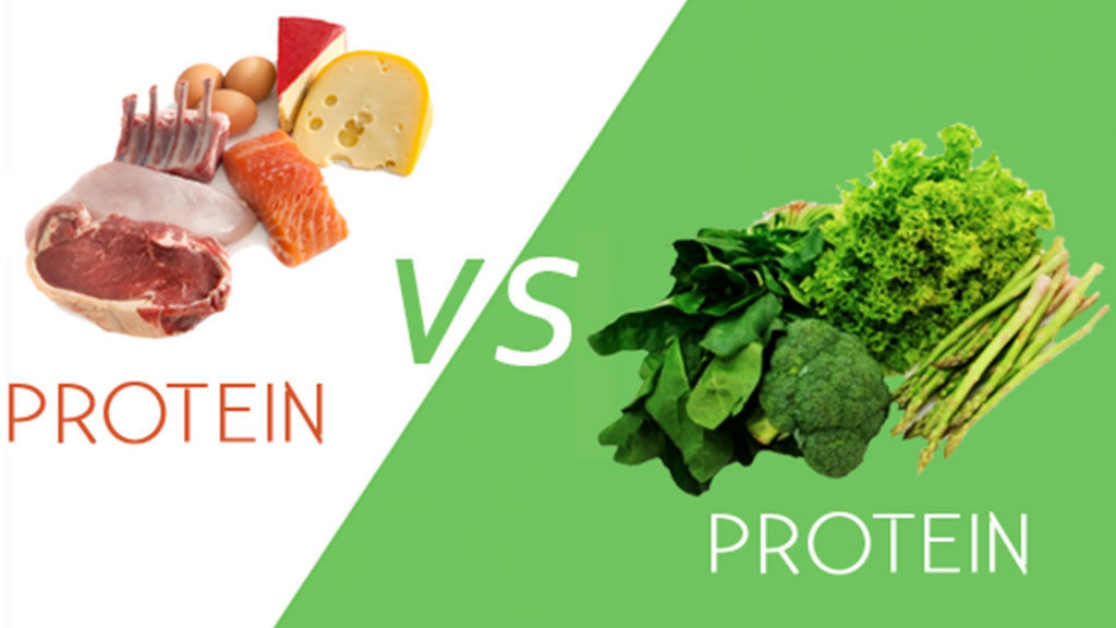 Animal vs Plant Protein - Abdullah Yahya