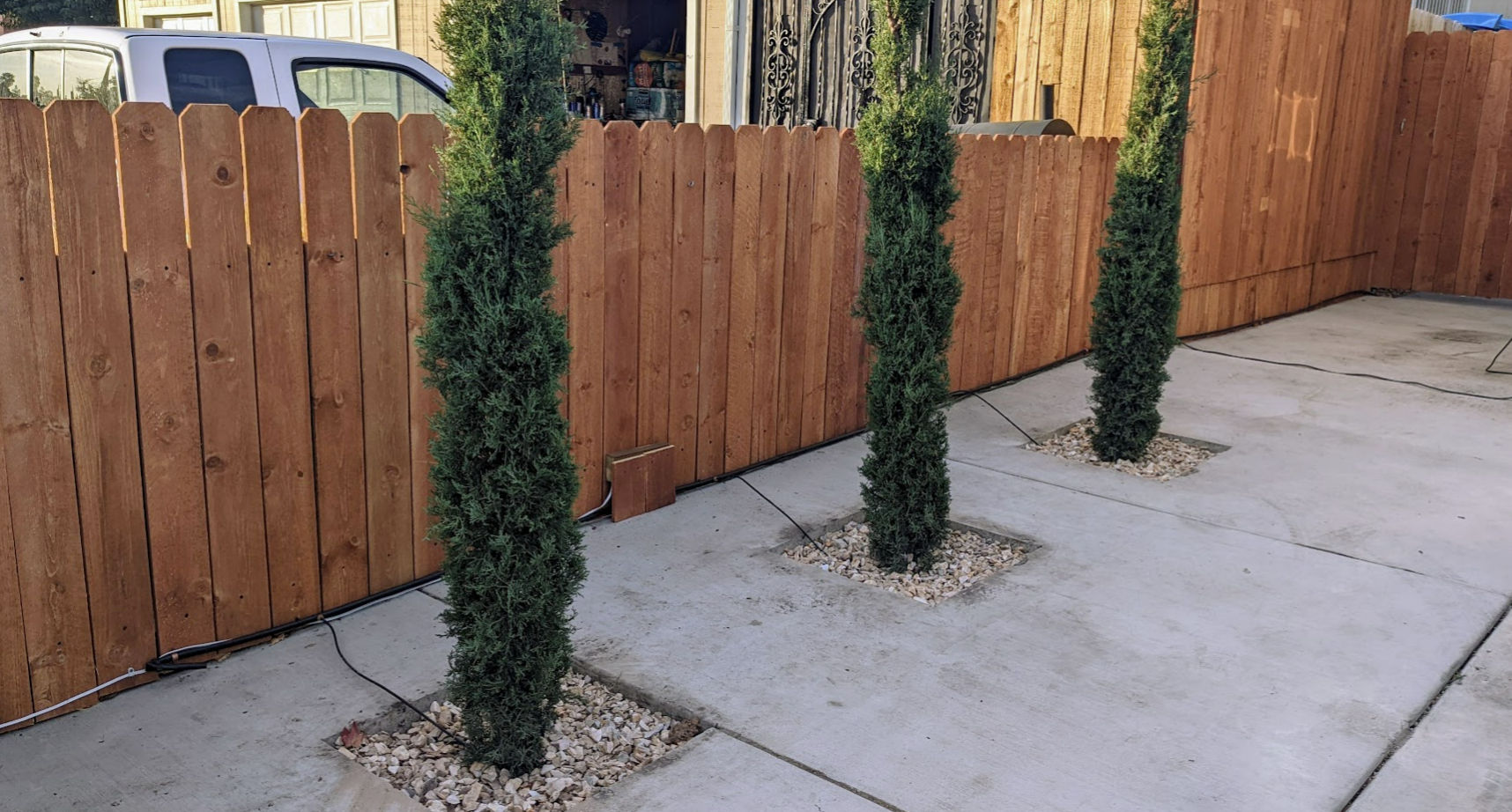 Using Cypress Trees to Hide Ugly Views of Your Neighbors Abdullah Yahya