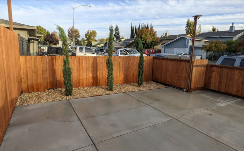 Using Cypress Trees to Hide Ugly Views of Your Neighbors