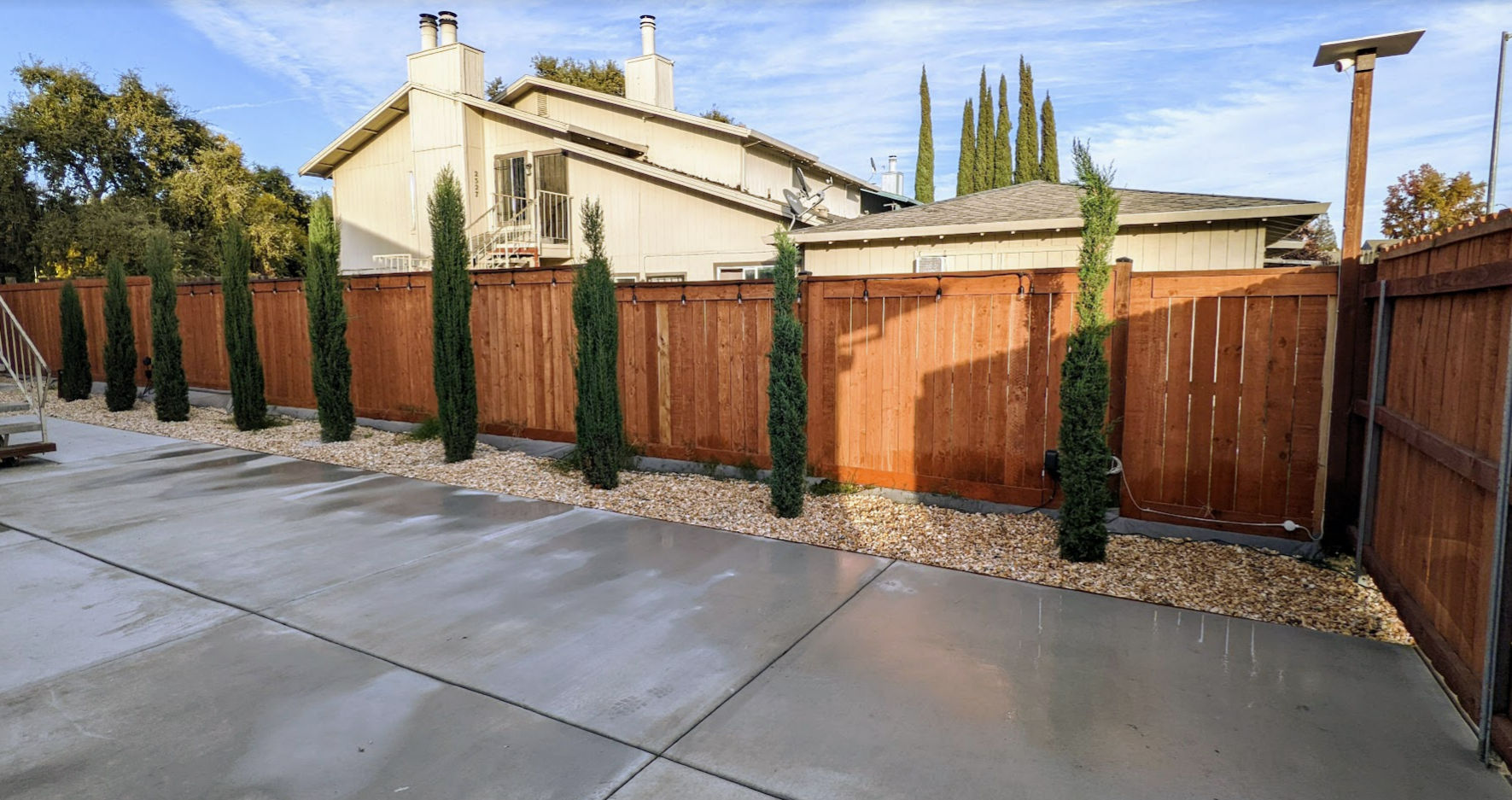 Using Cypress Trees to Hide Ugly Views of Your Neighbors Abdullah Yahya