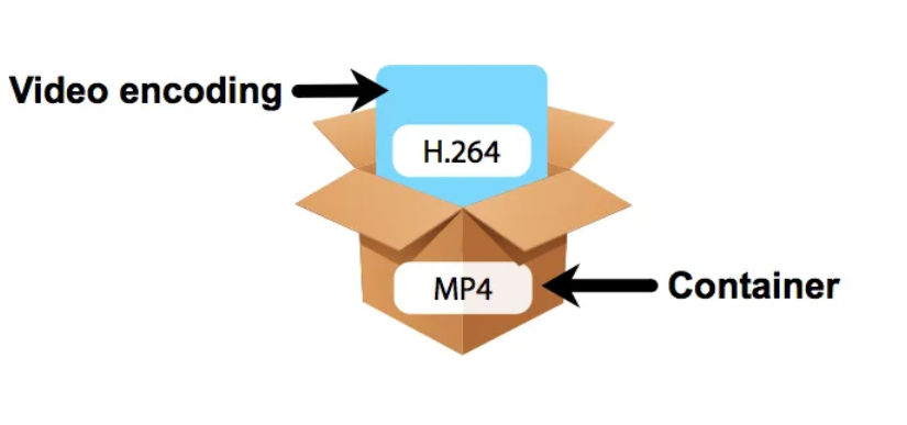 Video Codec VS. Container