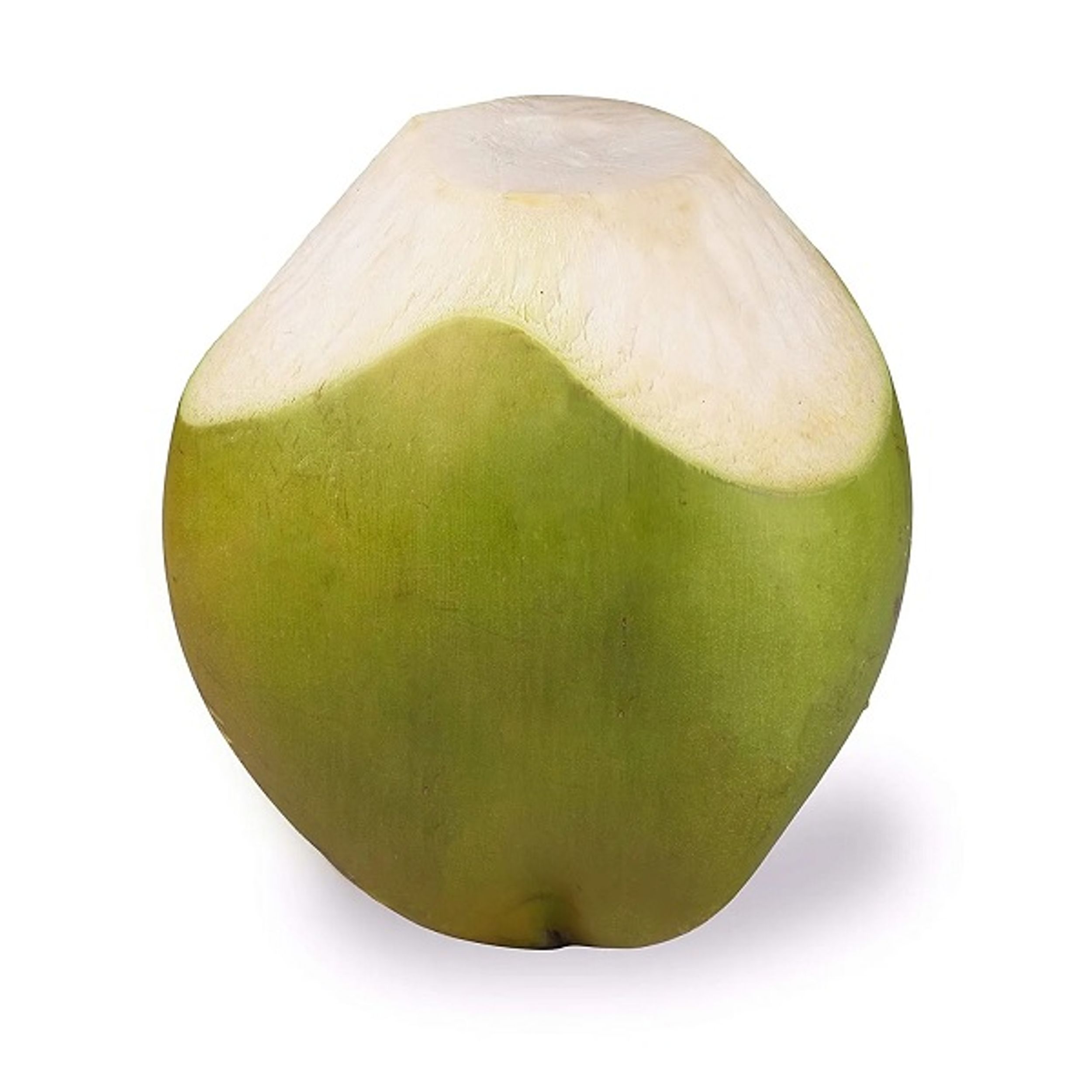 Buy Mojoco Tender Coconut Water Online at Best Price of Rs 23.5