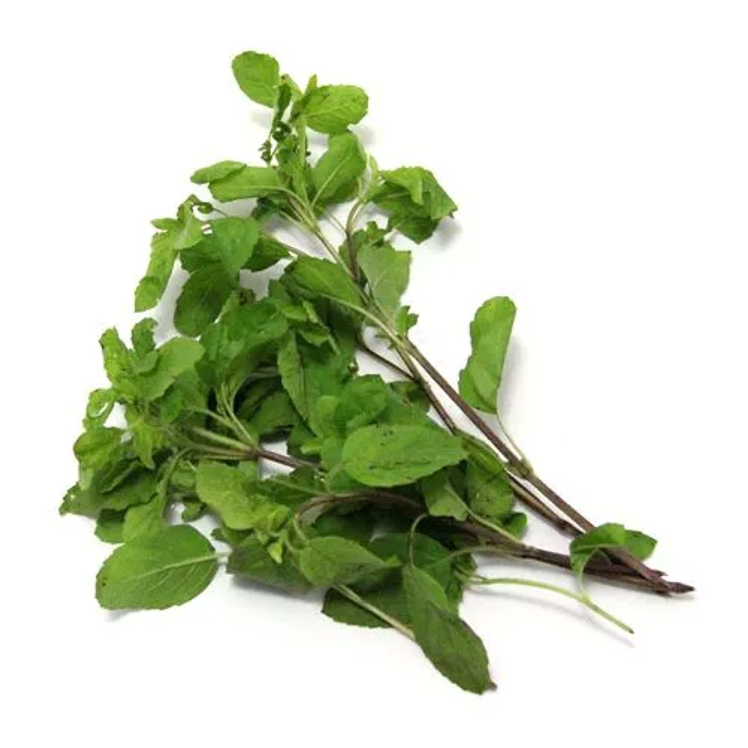 Fresho Organically Grown Tulsi Leaves