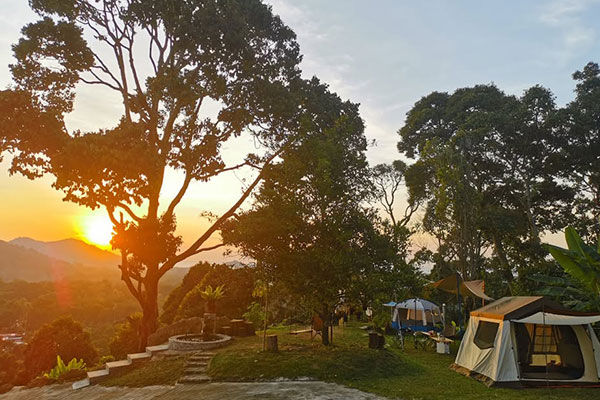 406 Dusun Durian Balik Pulau