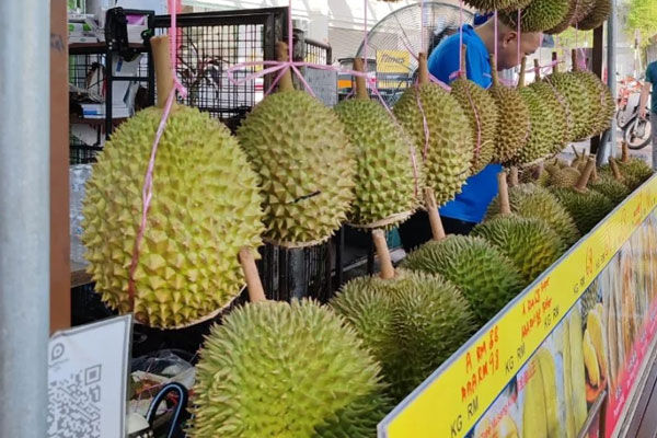 Penang AH TEIK ZAI Durian 德仔榴莲