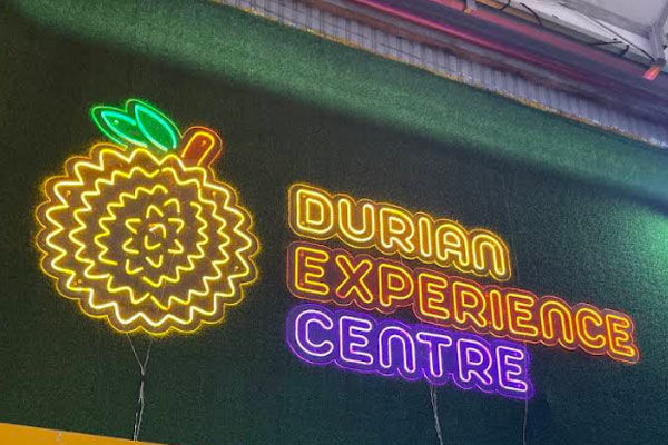 Dking Penang Macalister