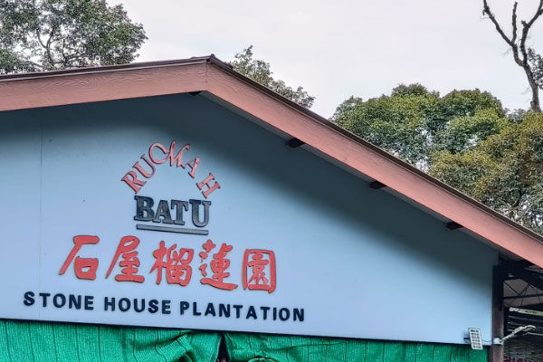 Durian Rumah Batu, Stone House Plantation