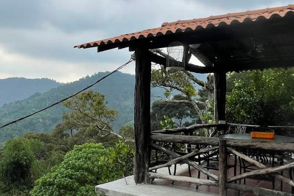 Durian Tree House 榴莲莊