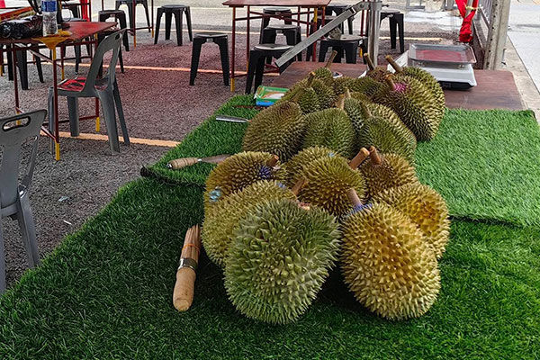 Durian Valley 榴莲天下