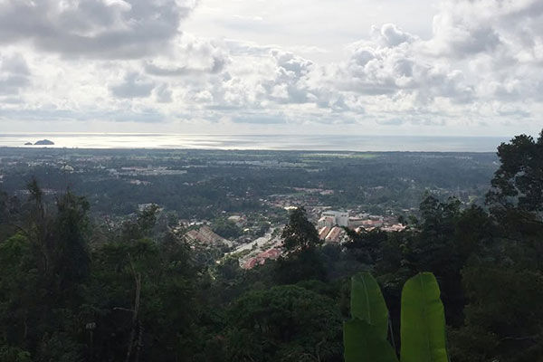 Balik Pulau Kampung Ku Organic Durian Farm