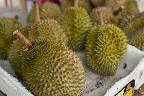 Keat Durian