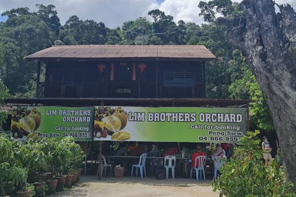 Lim Brothers Orchard