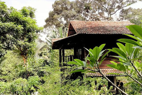 Nature Fruit Farm Resort