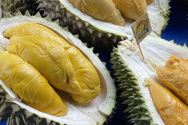 Shan Cheng Durian Georgetown