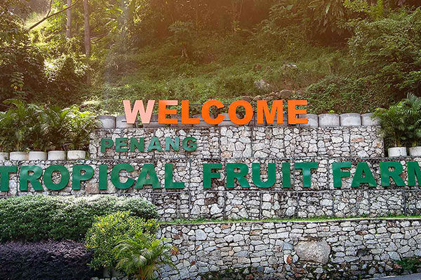 Tropical Fruit Farm